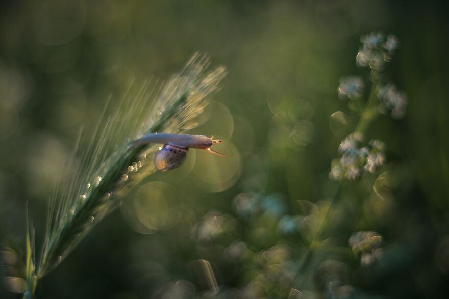 大自然的美景秋天摄影照片,美丽的大自然春夏秋冬图片大全