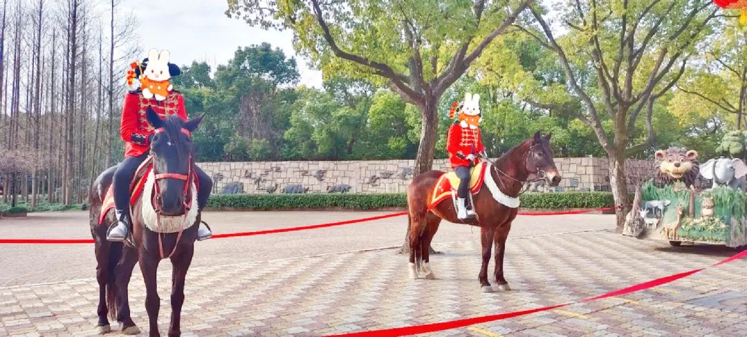 一月份去上海野生动物园和海洋馆,十一带大家去上海野生动物园玩