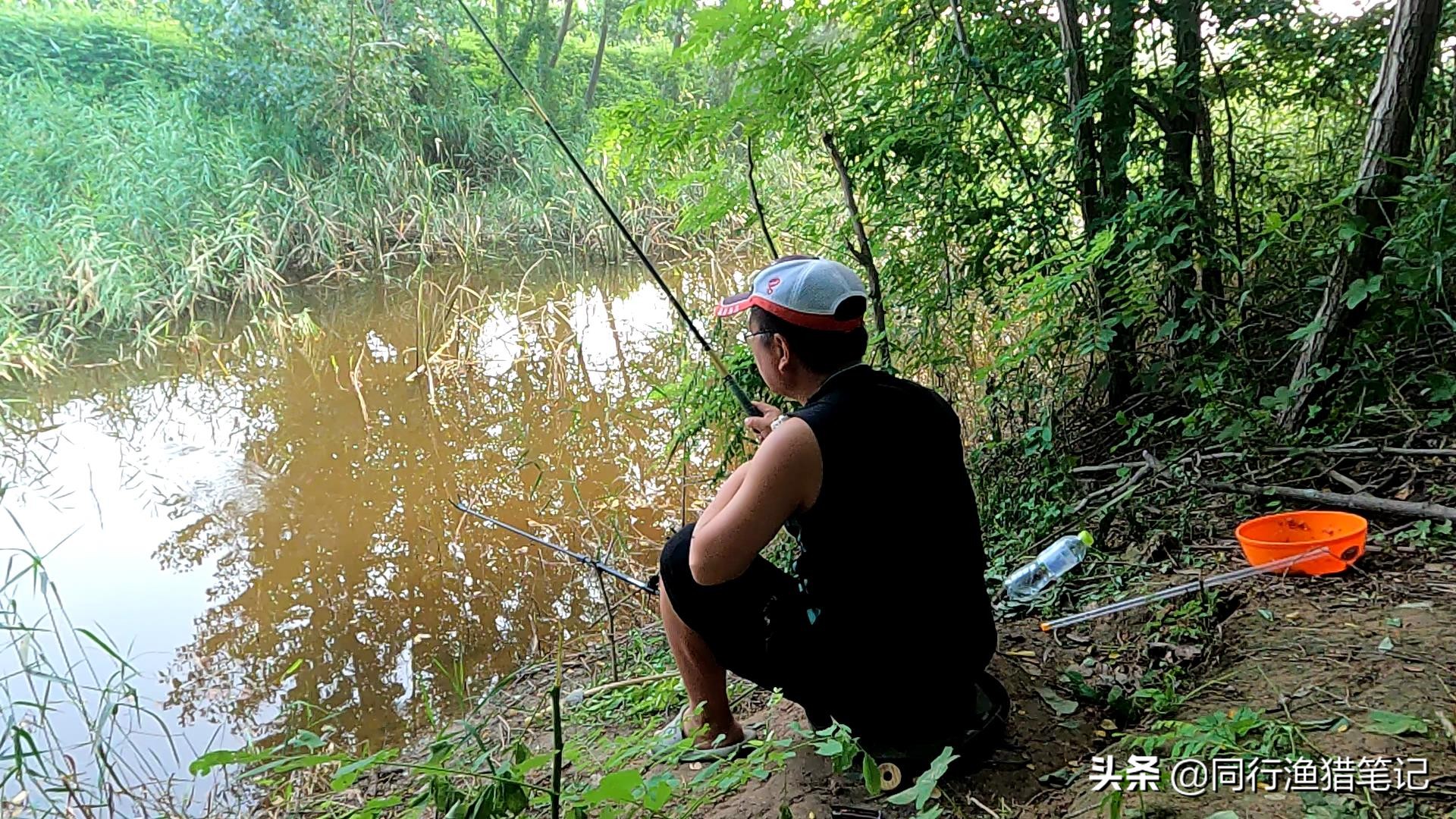 老大爷：谁没收我鱼竿，我让谁加倍送回来，网友：耍赖