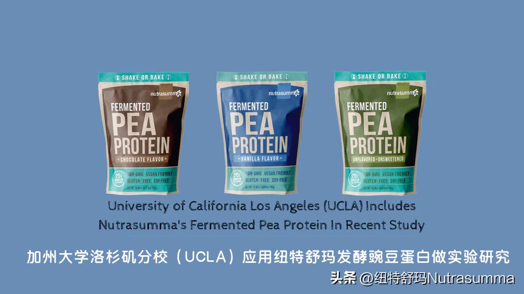 植物基蛋白,植物基蛋白的前景