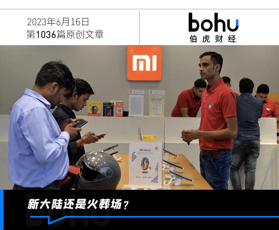 印度杀猪盘骗局,印度杀猪