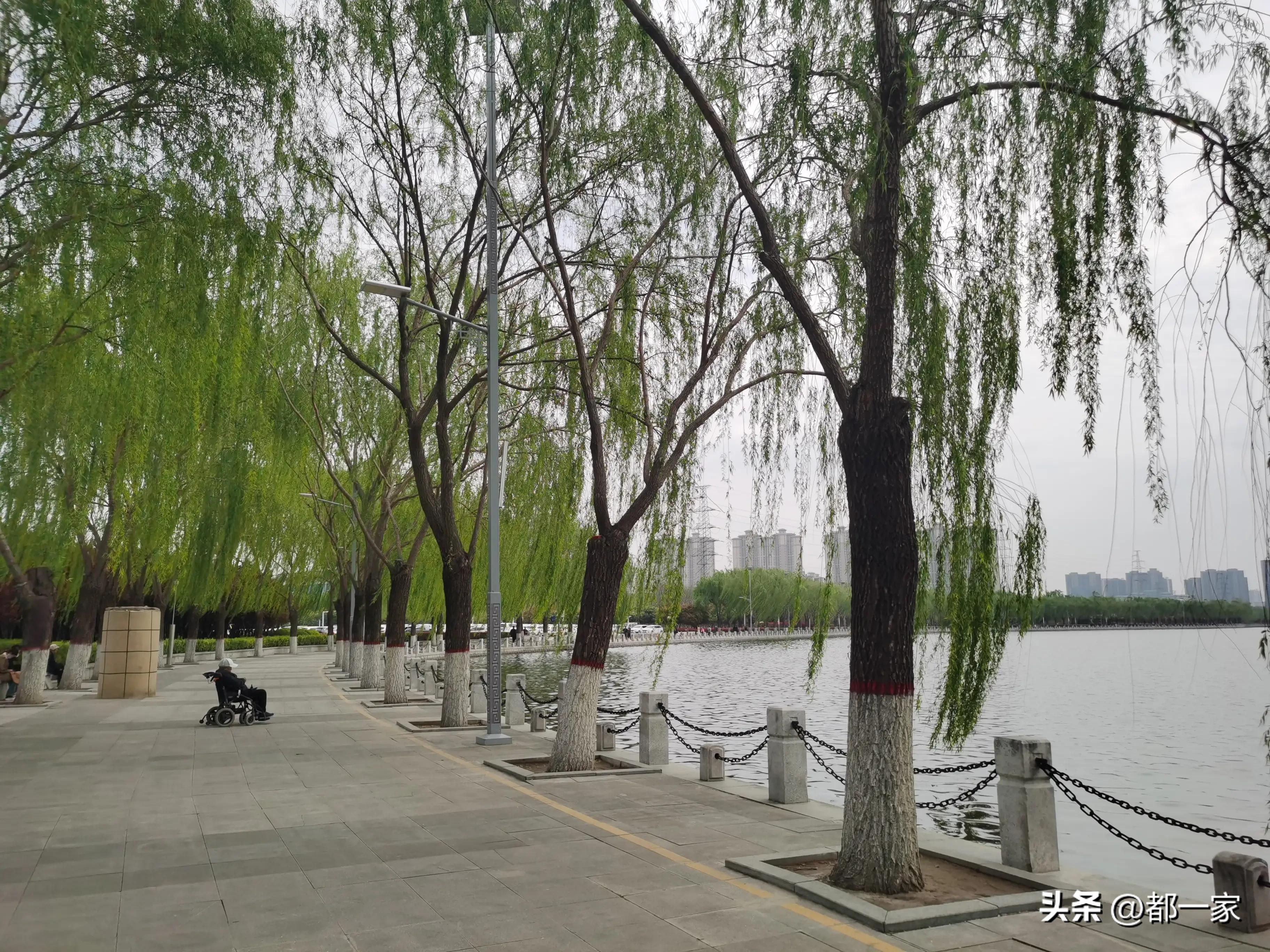 郑州须水河湿地公园,郑州索河湿地公园网红打卡地