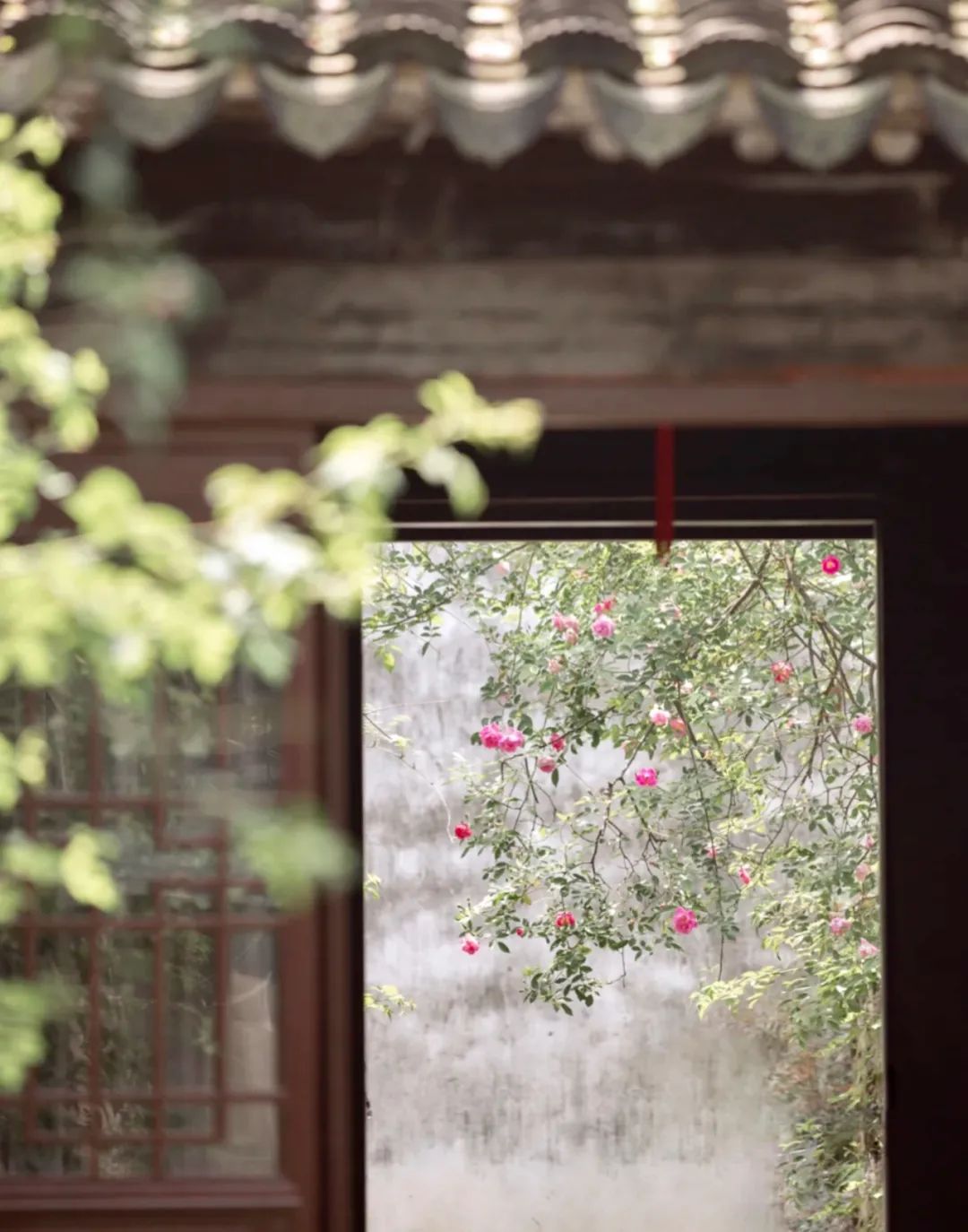 江南最美的城市,江南最好的风景城市