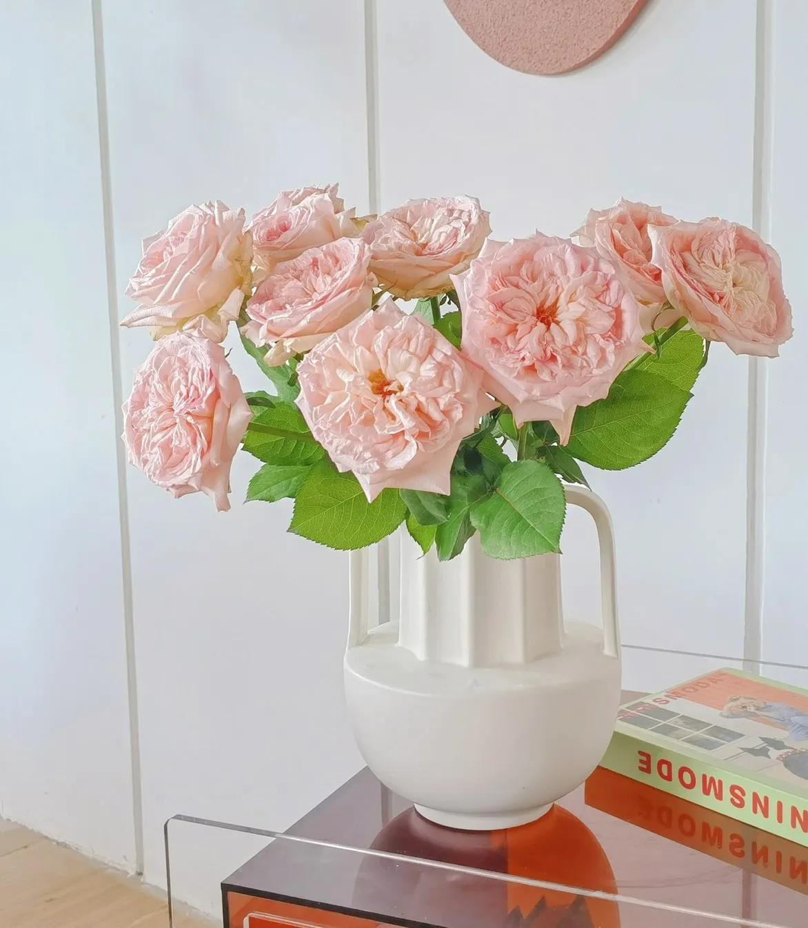 浪漫玫瑰爱情,爱情花朵红玫瑰