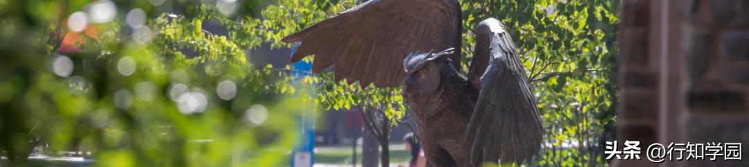 美国天普大学的申请条件,sgu项目本科申请条件