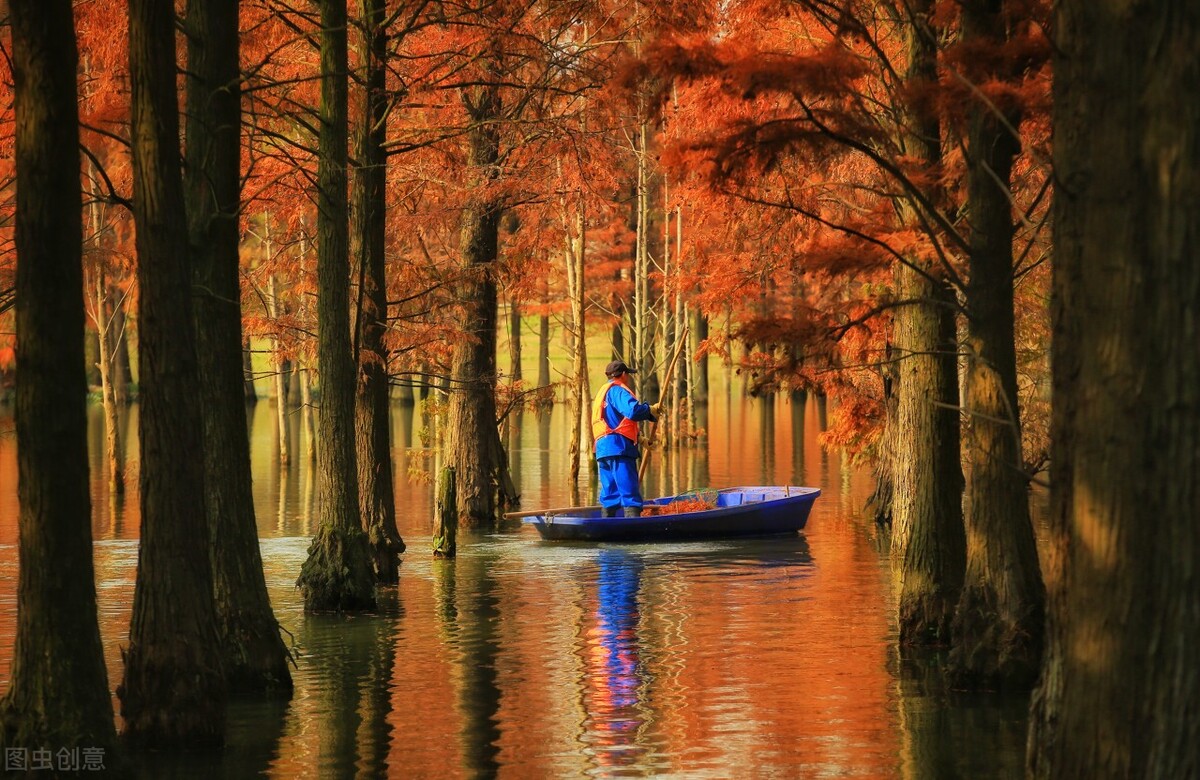上海国庆值得去玩的地方推荐,上海十一游玩推荐免费