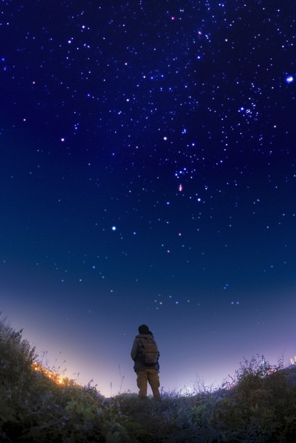 努力的含义是什么,努力的含义是什么意思