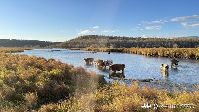 中国十大著名的河流有哪些,中国最长的十条河流