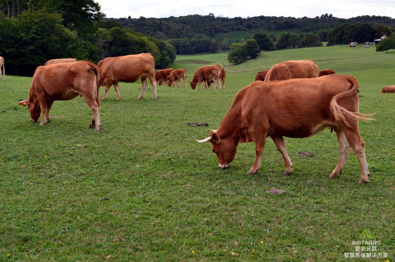 智慧农业在大型农场的应用,创新生态农场运营模式