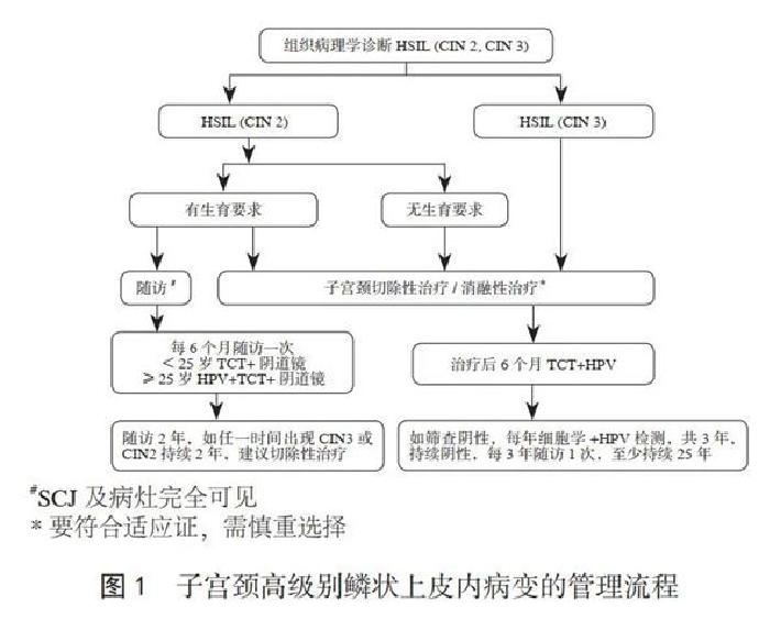 派特灵派特生物精选｜CIN的规范化诊治