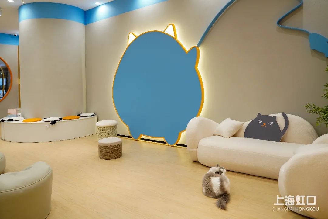 狗道宠物上海嘉定店,狗道宠物百联南方店