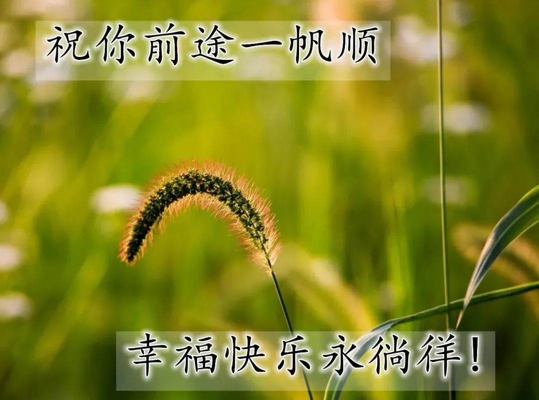 最新最美雨天早上好问候文字图片,夏日里最美的早晨问候图片大全