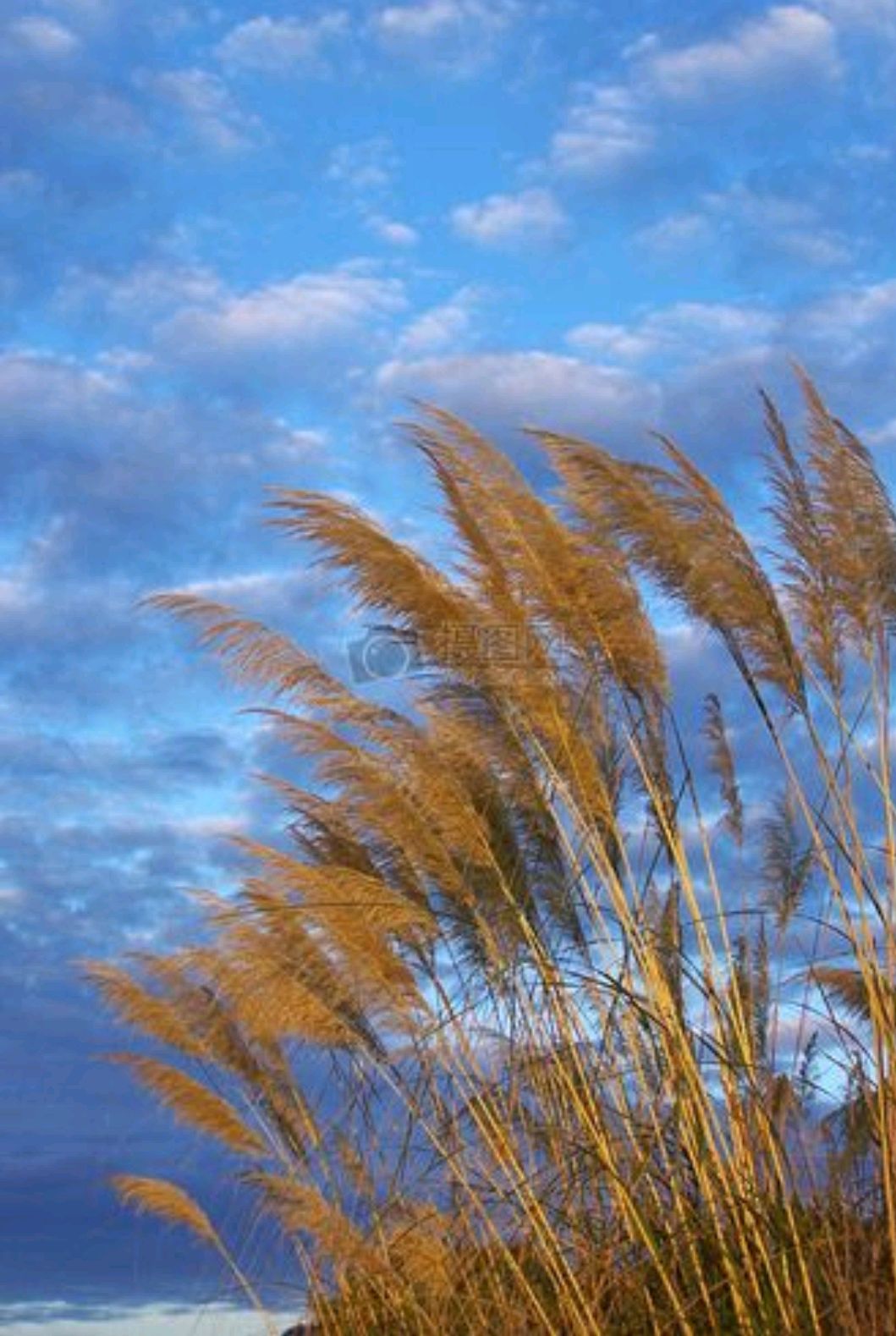 难得来一趟人间祝你活得随性洒脱,人间难得来一趟要活得潇洒自如