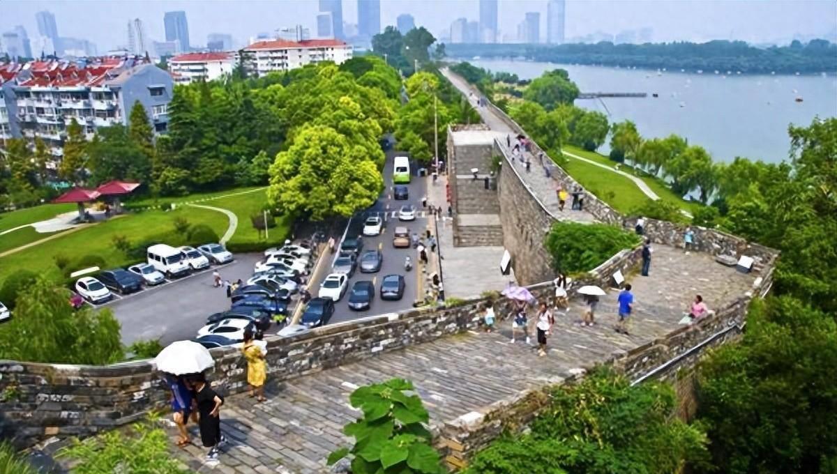 明孝陵水杉网红打卡,南京明城墙惊艳