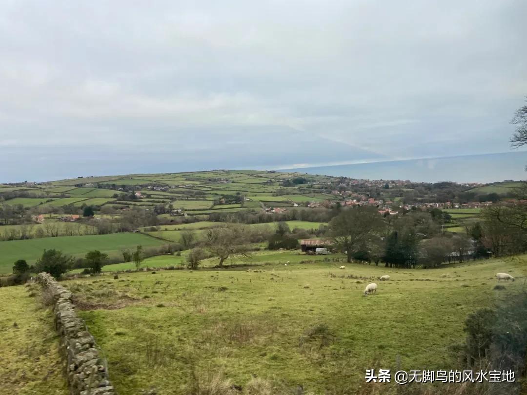 英国见闻,英国见闻最新视频