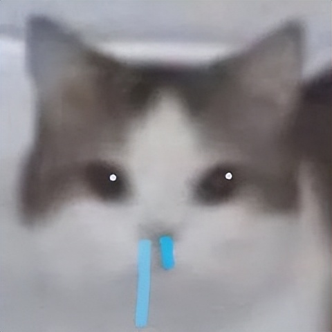 控油面膜功效与作用,艾灰面膜作用和功效