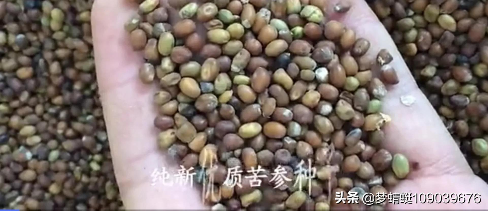 振东制药产品目录,深入解盘