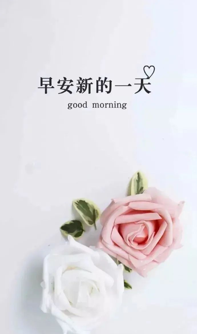 早晨问安,早晨问安的暖心短文