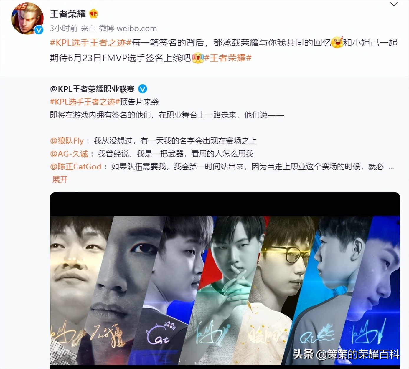 fmvp选手签名打折几天,fmvp选手签名会在个人信息显示吗