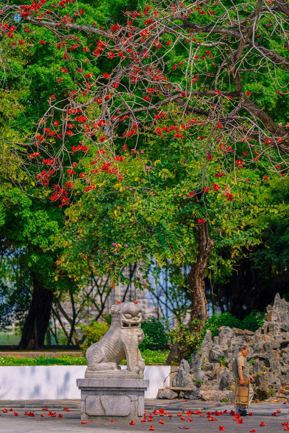 惠州免费春游踏青最佳去处,惠州周边踏青一日游