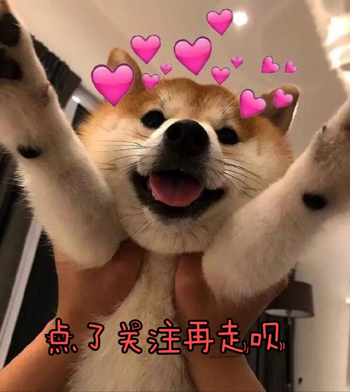 狗狗便便很臭全是血水,狗狗拉绿色便便很臭