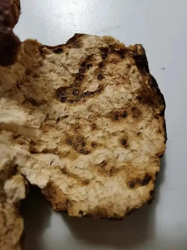 陈皮虫蛀怎么办,新会陈皮果怎么处理