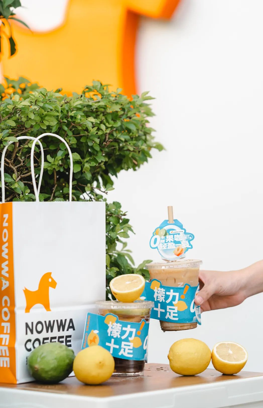 我滴马椰！连开100店