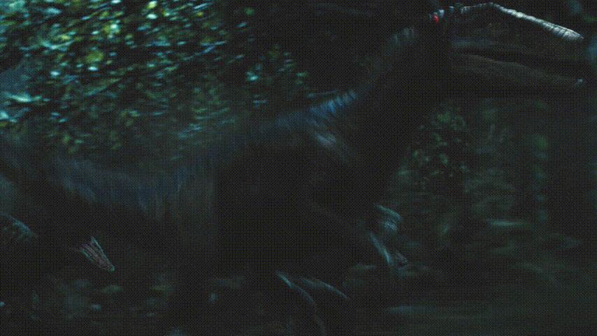 为何很多动物都怕猫,为什么有好多动物怕鹅的粪便