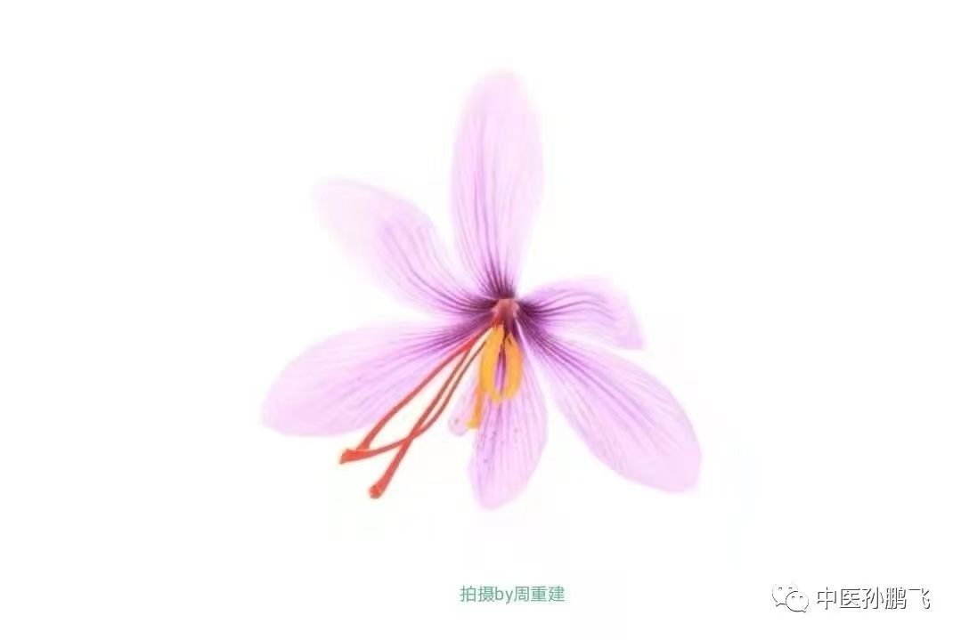 胡希恕金匮要略学习笔记,廖世煌金匮要略笔记