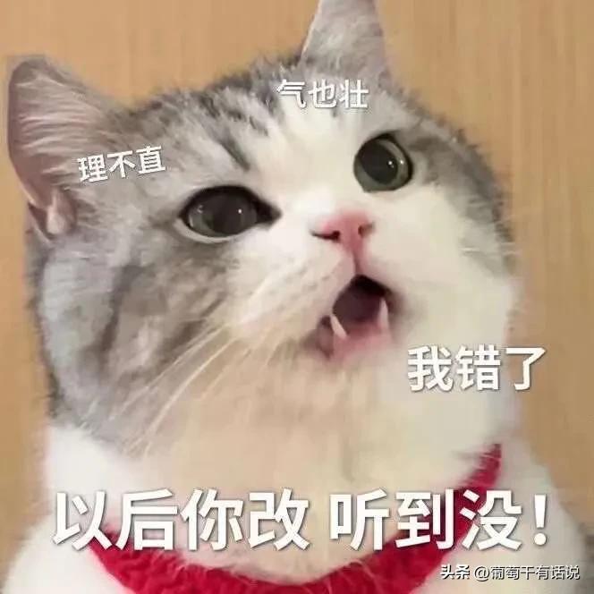 道歉专用表情包哄对象最有效,道歉专用表情包鸭鸭对不起