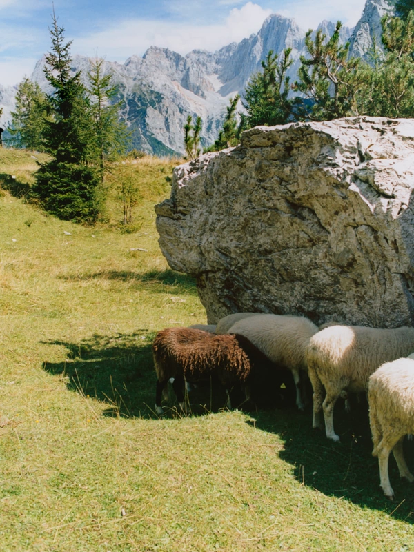 娉曞浗琛～鐢婚泦,娆х偣鏄ュ鏂版鐢诲唽