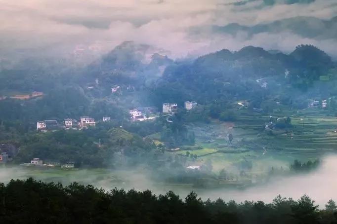 最美思南石林,思南石林风景区全景