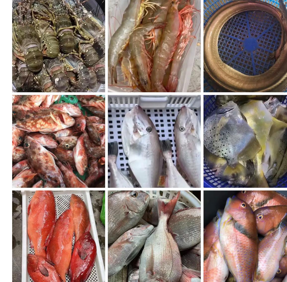 汕头南澳岛五一拥堵情况,五一汕头南澳岛堵车视频