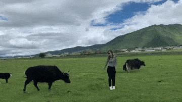 女子和同事打闹，用力过猛竟直接把*裤底**扯两半，羞得蹲地不敢起身