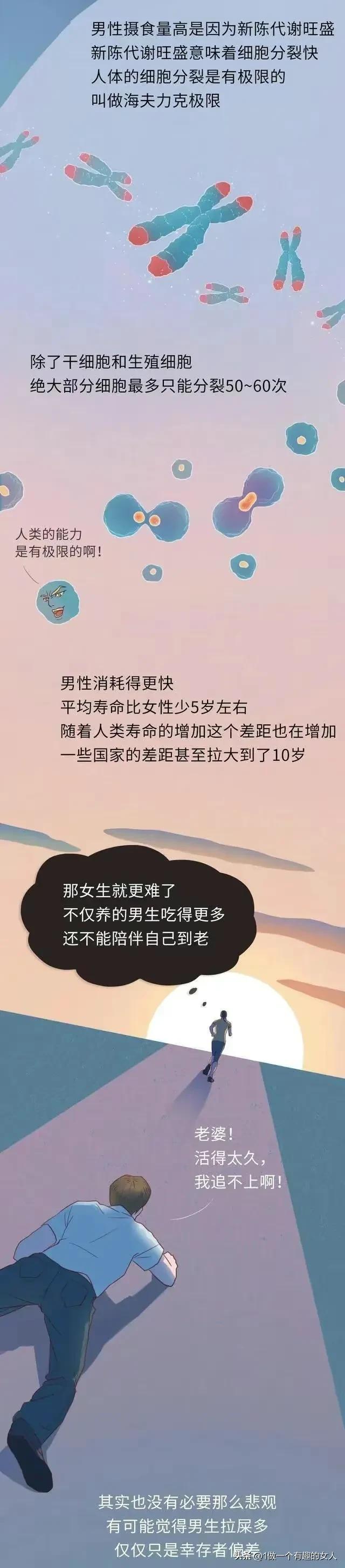 男人为什么一天几次大便,为什么男人一天拉一次大便正常