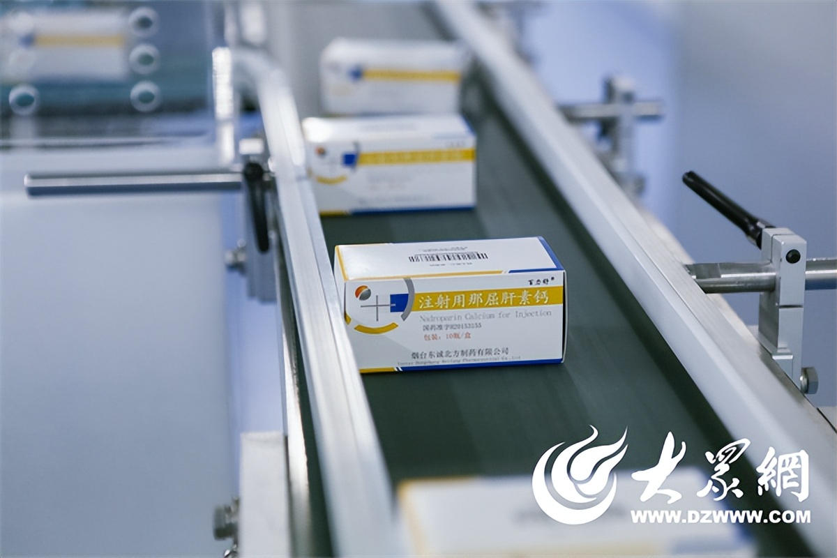 东诚药业有限公司制剂,东诚药业主要涉及哪方面