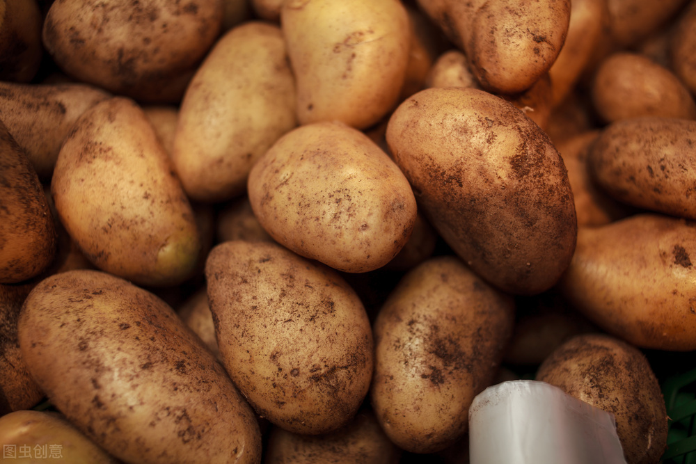 土豆产地哪里最出名,哪里种植的土豆最好吃