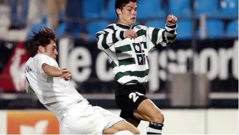 巨星的成长,巨星的成长历程