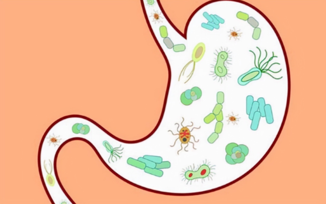 女大学生减肥一直吃零食,23岁女孩为减肥只吃水果充饥