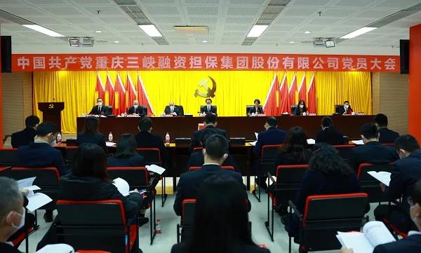 融资担保公司可持续性发展,重庆金融助力