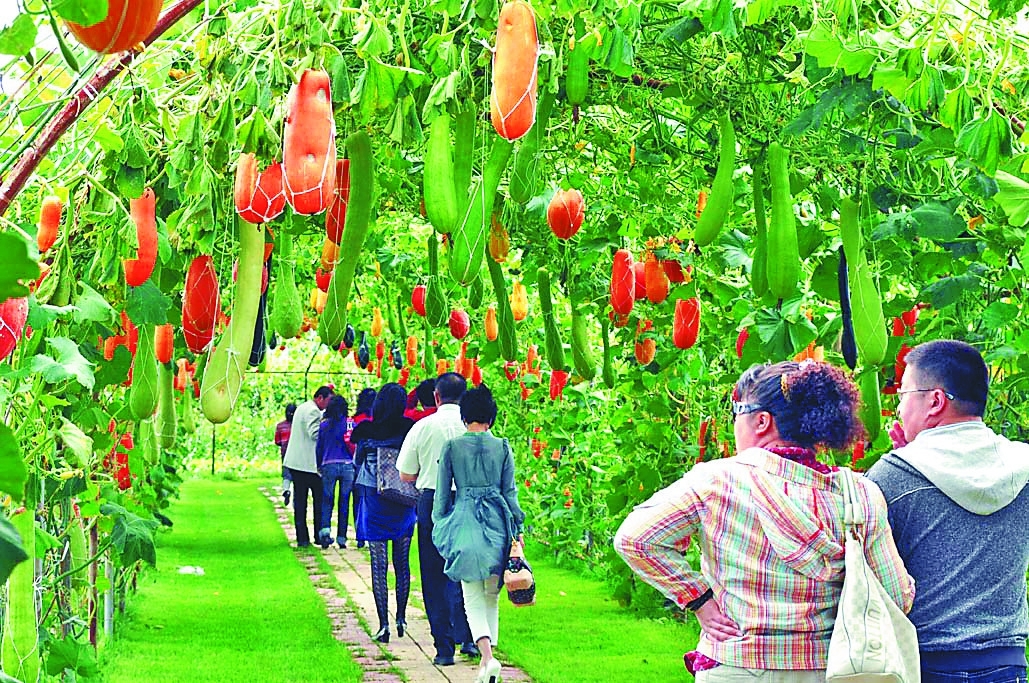 20大返乡创业有哪些政策,创业青年返乡创业有什么政策扶持