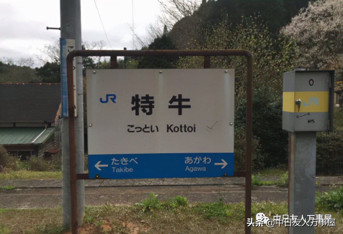 学日语必须了解日本的汉字吗,日语中常见的汉字中日对比