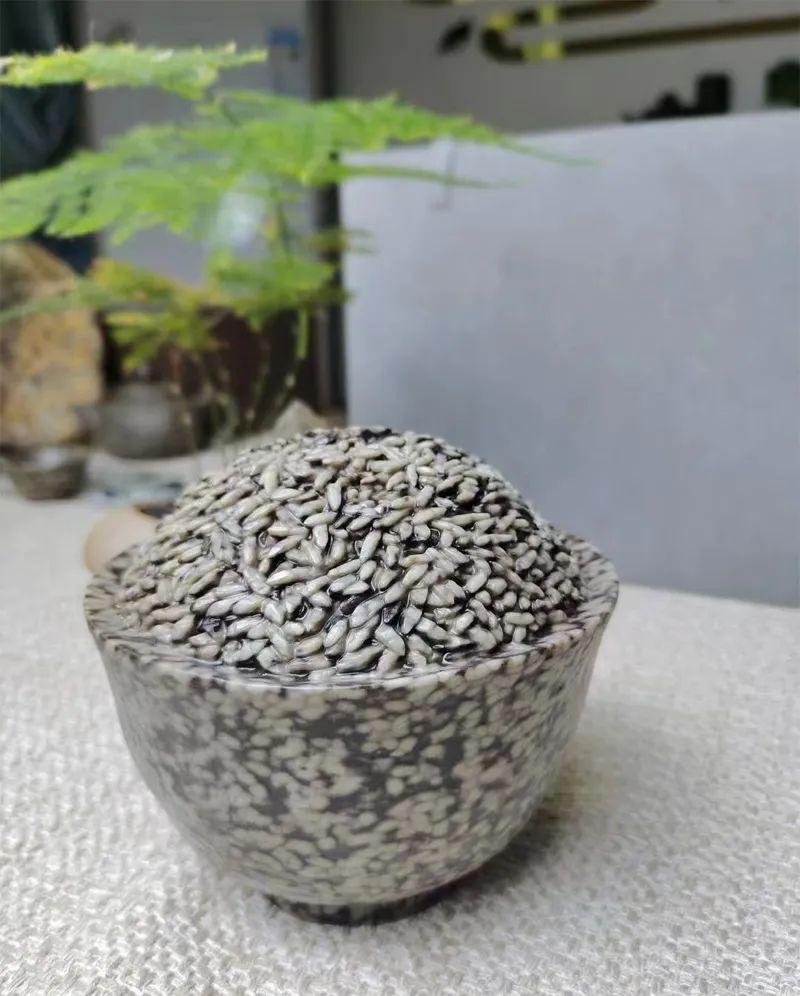 全球学子嘉游赣靠谱吗,全球学子嘉游赣活动