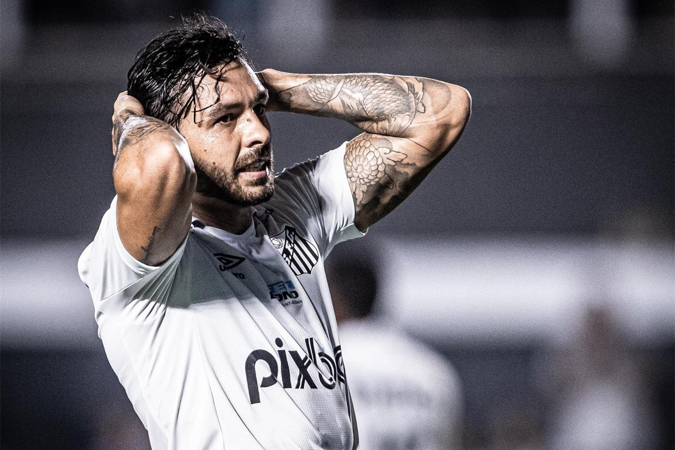 国足四名归化球员信息,国足四名归化球员最新消息