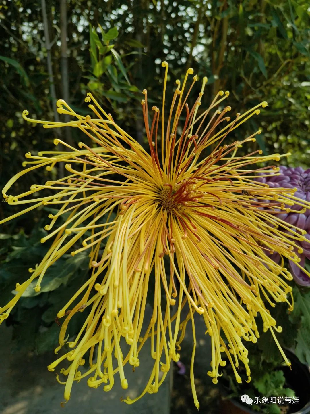 时间都去哪儿了小品完整版,时间都去哪儿了感悟