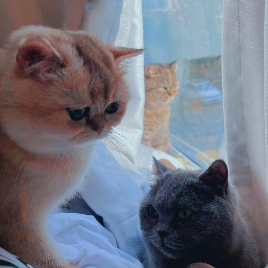 在上海静默的春天，三位实体商业人的此时此刻|与你同在