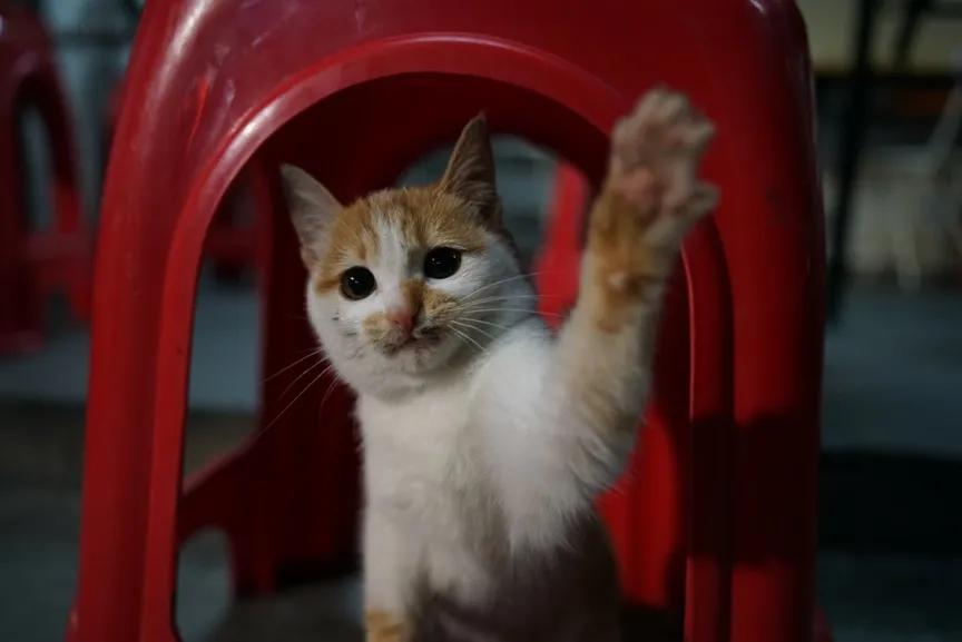 腾龙28-75使用体会,腾龙28-200旅行