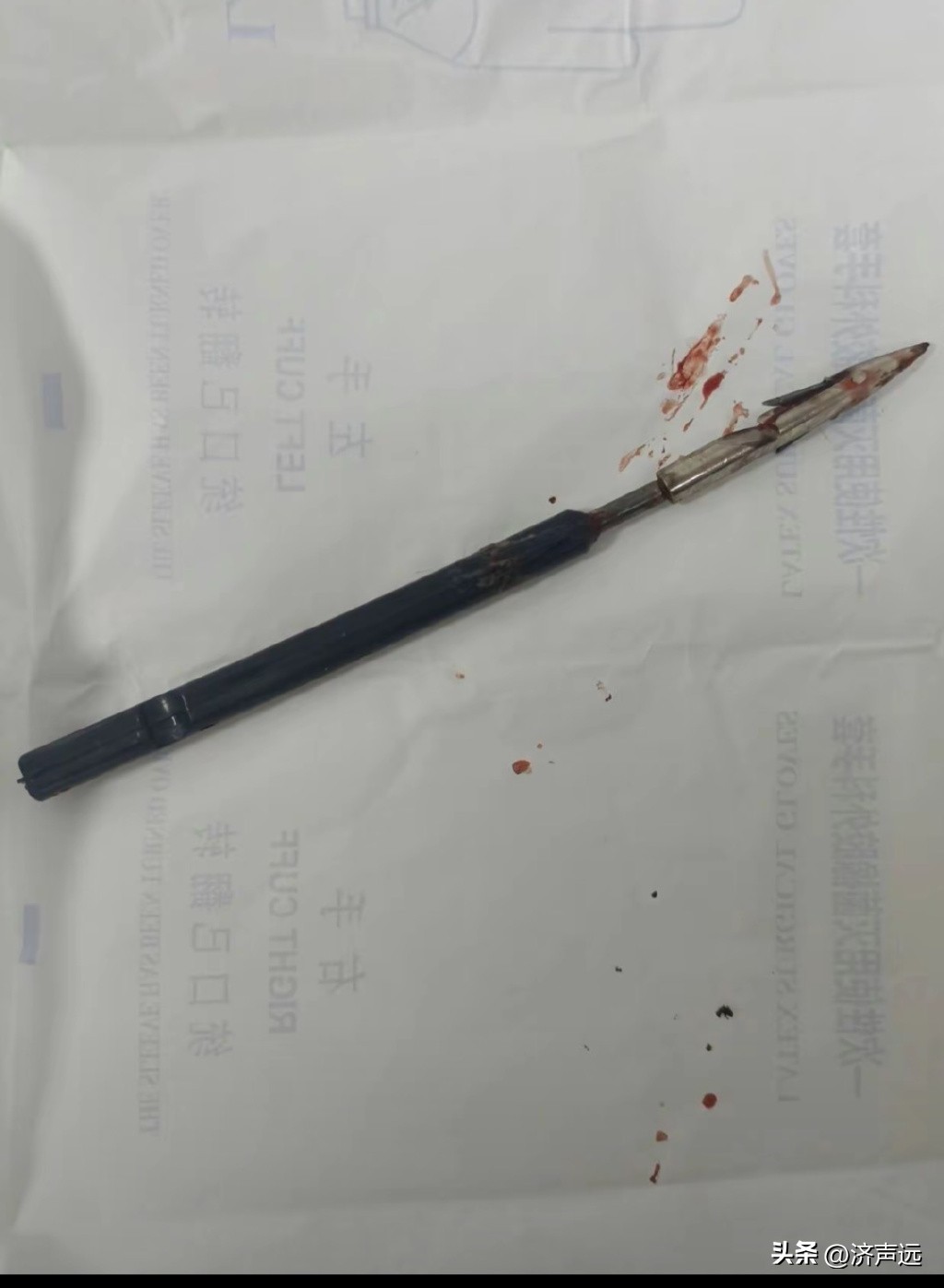 山东某大学生虐猫事件,大学生虐猫虐狗事件