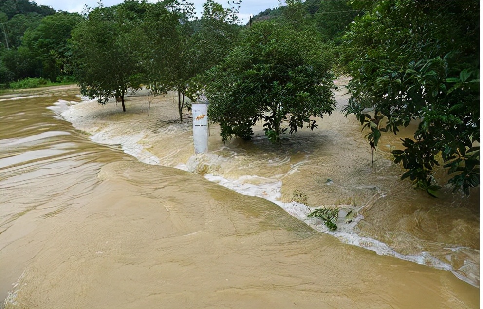 *共中**特工被关押14年，越狱逃几千里回家，妻子不认识问：你是谁？