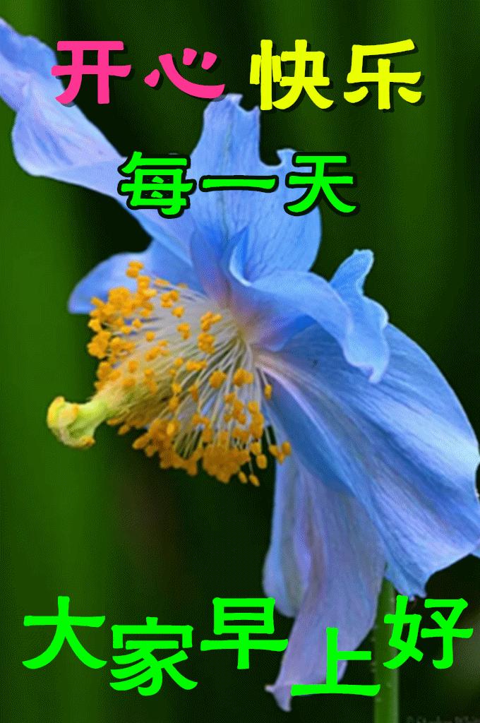 早安心语每日经典图片,早安心语短句2020早安图